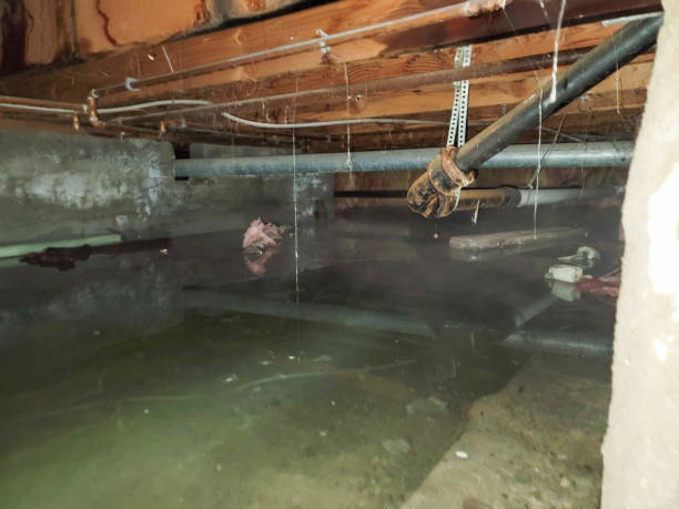 Best Sewage cleanup and water damage restoration  in Bethlehem, PA
