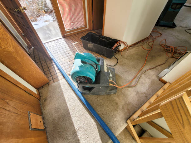 Best Mold removal after water damage  in Bethlehem, PA