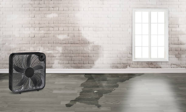 Sewage cleanup and water damage restoration in Bethlehem, PA