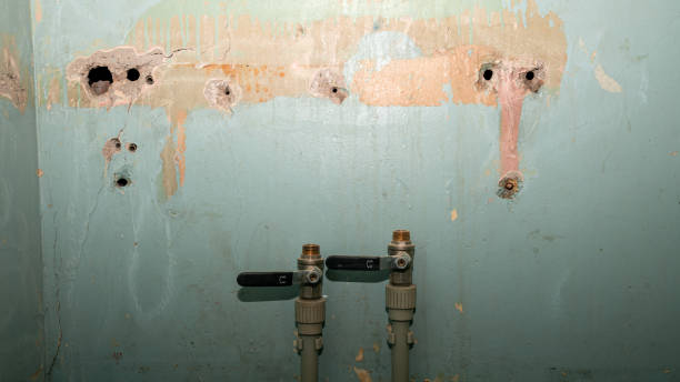 Best Fire Damage Restoration  in Bethlehem, PA