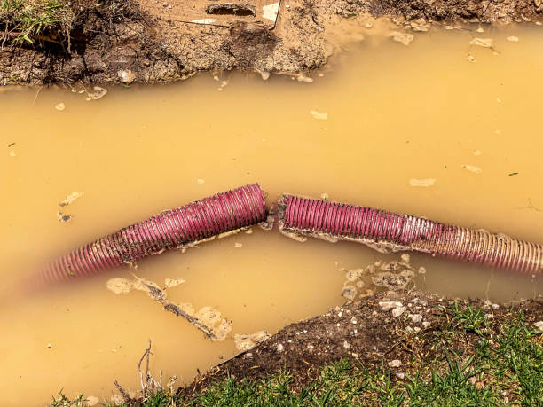Best Water damage mitigation services  in Bethlehem, PA